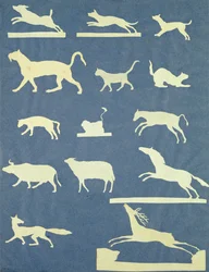 Tiere
